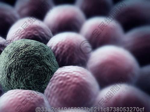 宜昌干细胞公司有几家