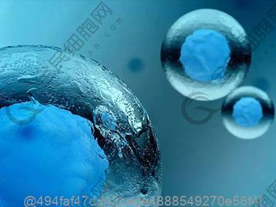 宜昌干细胞公司排名