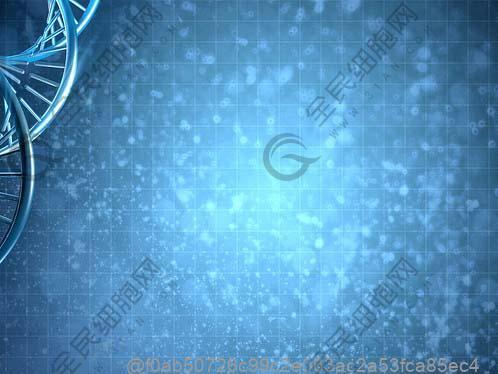 心脏干细胞作用和功效有什么