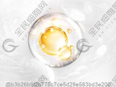 台州2024干细胞治疗费用？