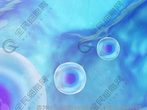 卵泡发育不好betway必威西打干细胞调理有用吗