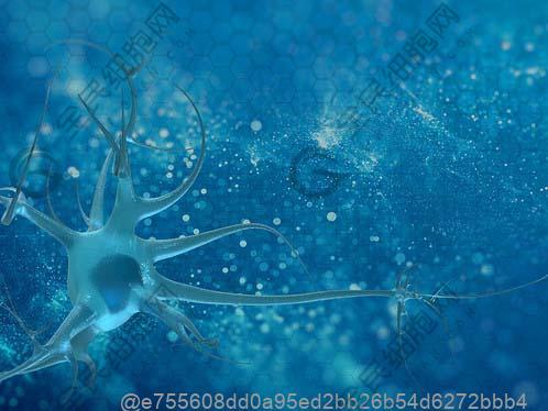 日本叫停细胞免疫疗法