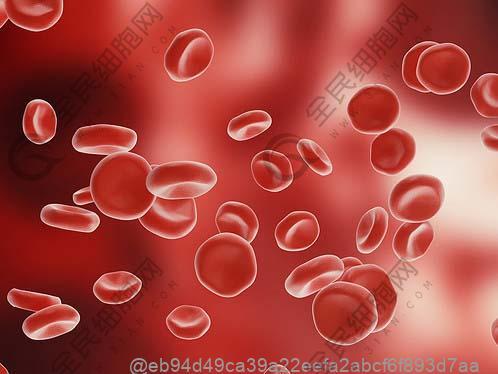 哪个医院用干细胞治疗间质性肾炎