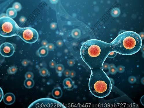 武威哪家干细胞机构好