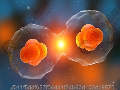 临沂医院干细胞治疗可靠吗？如何选择医院和专业