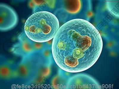 南平干细胞价格多少钱，南平干细胞多少钱一针