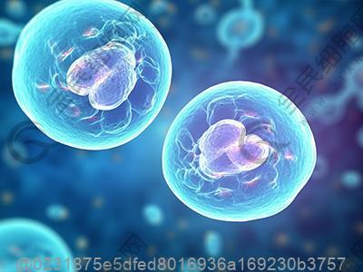 南平干细胞比较好医院是哪家打一针多少钱