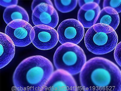 南平干细胞回输一次多少钱，可以维持多久