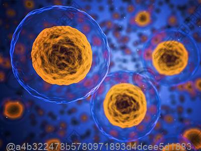 淄博干细胞多少钱一针，干细胞的功效作用