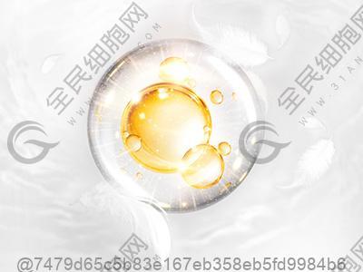 淄博干细胞多少钱一次？附价格表