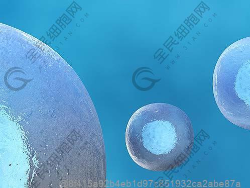 南平干细胞医院哪家好，上榜前十名单公布