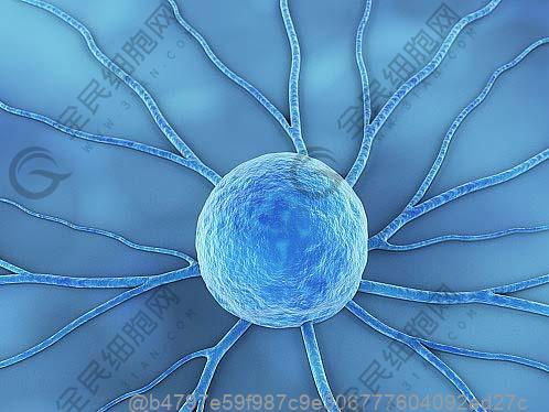 许昌betwayAPP下载多少钱一次？附价格表