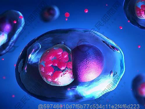 禹州注射betwayAPP下载多少钱一针？附betwayAPP下载费用介绍