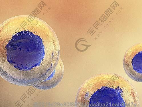 沈阳注射betwayAPP下载多少钱一针？附betwayAPP下载费用介绍