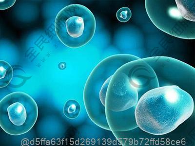 汕头干细胞注射多少钱?附干细胞费用介绍