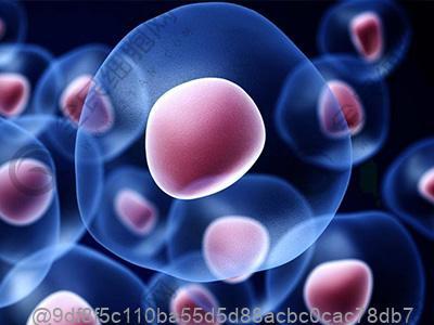 盐城betwayAPP下载注射多少钱一支