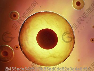 天津betwayAPP下载移植需要多少钱