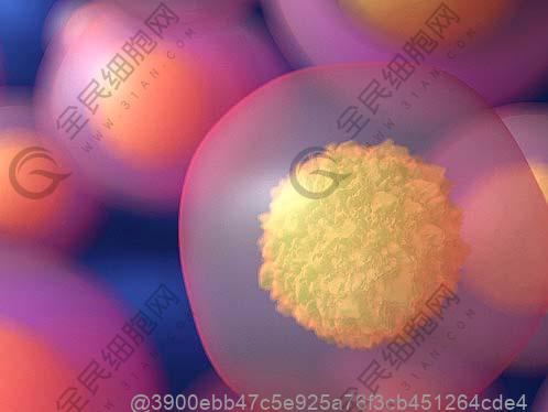 汕头干细胞输注一次的费用多少