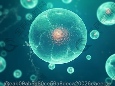 丽水betwayAPP下载注射多少钱一次