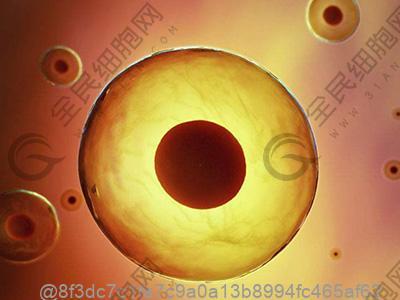 张掖哪家医院有betwayAPP下载疗法