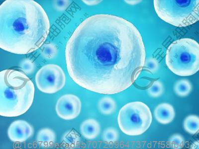 潍坊打一针betwayAPP下载多少钱？附betwayAPP下载费用介绍