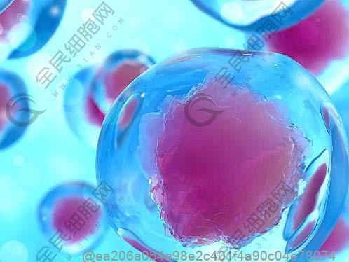 南平干细胞治疗帕金森医院排名