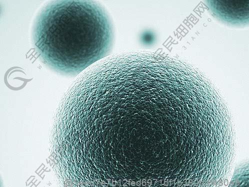 榆树较好的肾硬化干细胞医院