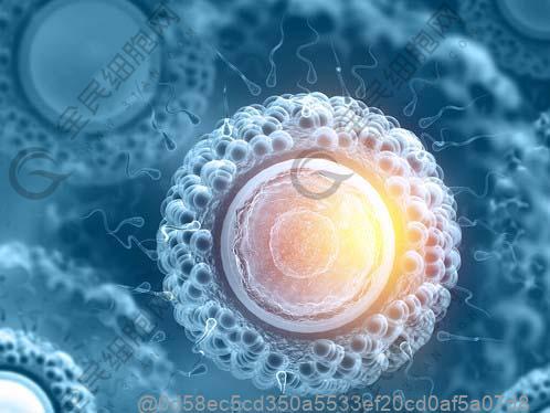 云南肺气肿干细胞治疗医院