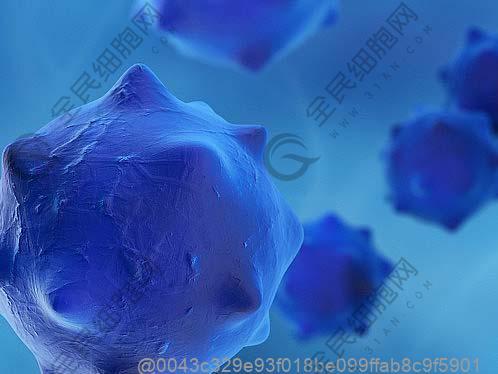 晋江肺纤维化干细胞治疗医院