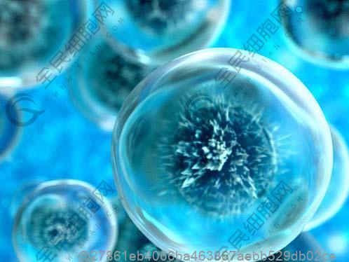 邢台必威国际有限公司足好的干细胞医院