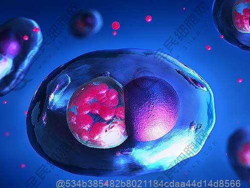 开远哪家内分泌失调干细胞医院好