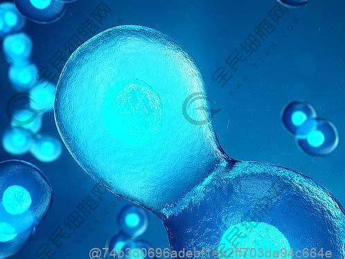 莱州betwayAPP下载多少钱一针？做betwayAPP下载的价格具体是多少