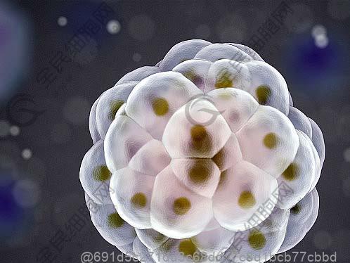 石河子偏瘫好的干细胞医院