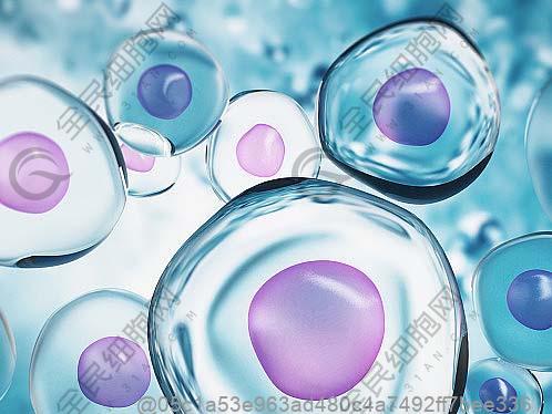 肇东肾病综合征干细胞治疗医院