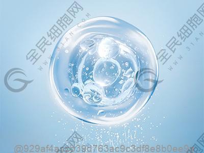 柳州干细胞治疗无精症较好的医院