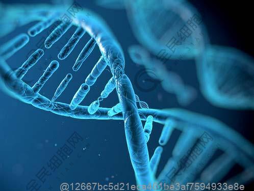 济宁强直性脊柱炎好的干细胞医院