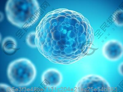 曲阜betwayAPP下载多少钱一针？附betwayAPP下载费用介绍