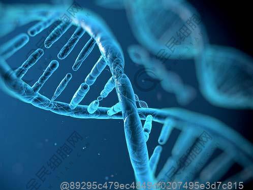 男人下面腥味重的原因是什么？三个因素导致男人下面腥味重