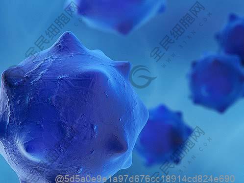 子宫的厚度为多少更容易怀孕？哪些因素导致betway必威西