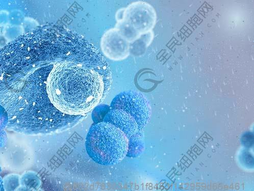 晋城哪家绝经干细胞医院好