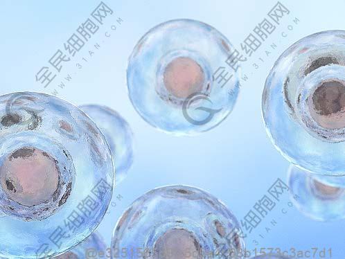 海安干细胞治疗无精症医院排名