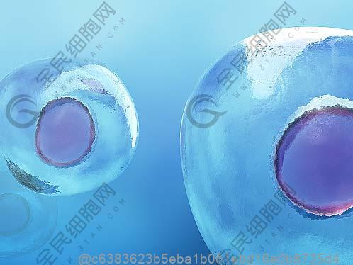 什么叫肾病饮食疗法治疗