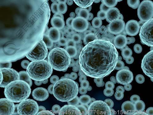 高血压加类风湿的饮食注意事项