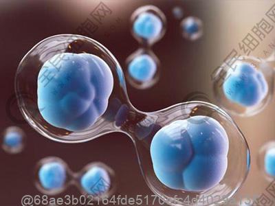 高血压低能量饮食吗女性