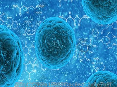 弱精症注意哪些饮食