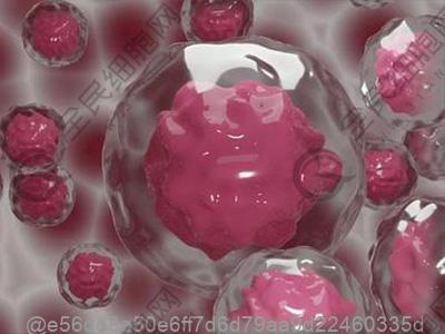 弱精症的饮食注意事项