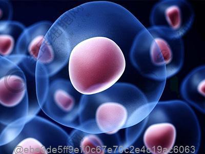 弱精症注意饮食