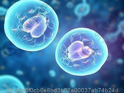 弱精症注意什么饮食啊