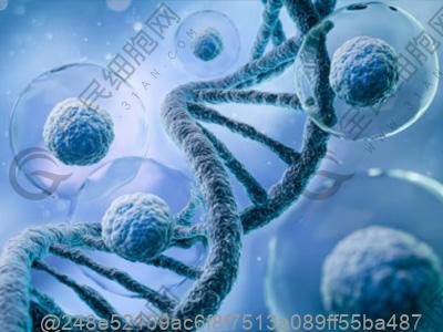 饮食模式与弱精症有关吗