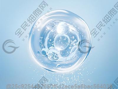 弱精症的饮食原则是指什么